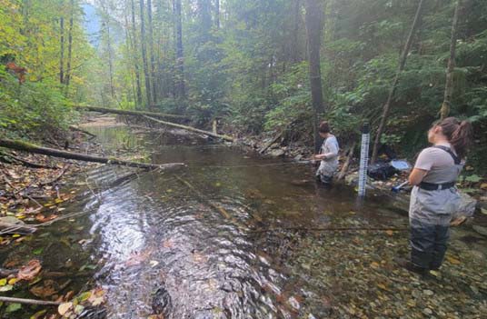 2 biologistes du MPO se tiennent dans le chenal Brandt peu profond, le long d’une rive boisée, dans le territoire de Tsleil-Waututh. La femme en amont se prépare à prendre des mesures du débit tandis que la femme en aval place un ruban à mesurer en travers de la crique