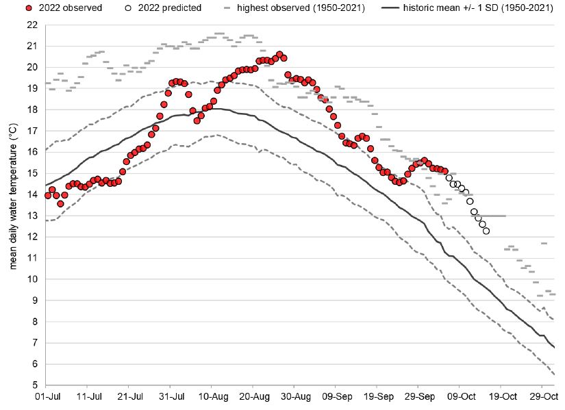Graph: Fraser River water temperatures at Qualark