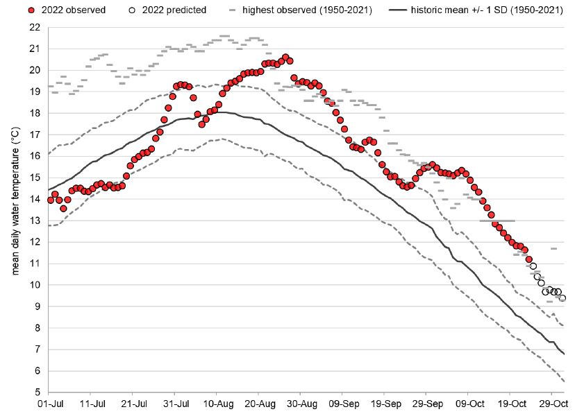 Graph: Fraser River water temperatures at Qualark