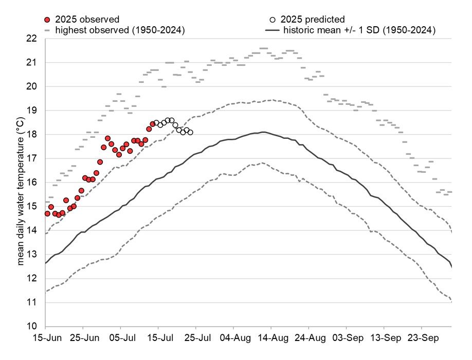 Graph: Fraser River water temperatures at Qualark