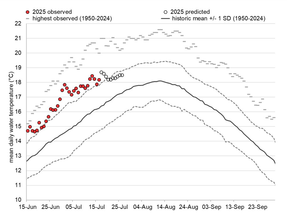 Graph: Fraser River water temperatures at Qualark