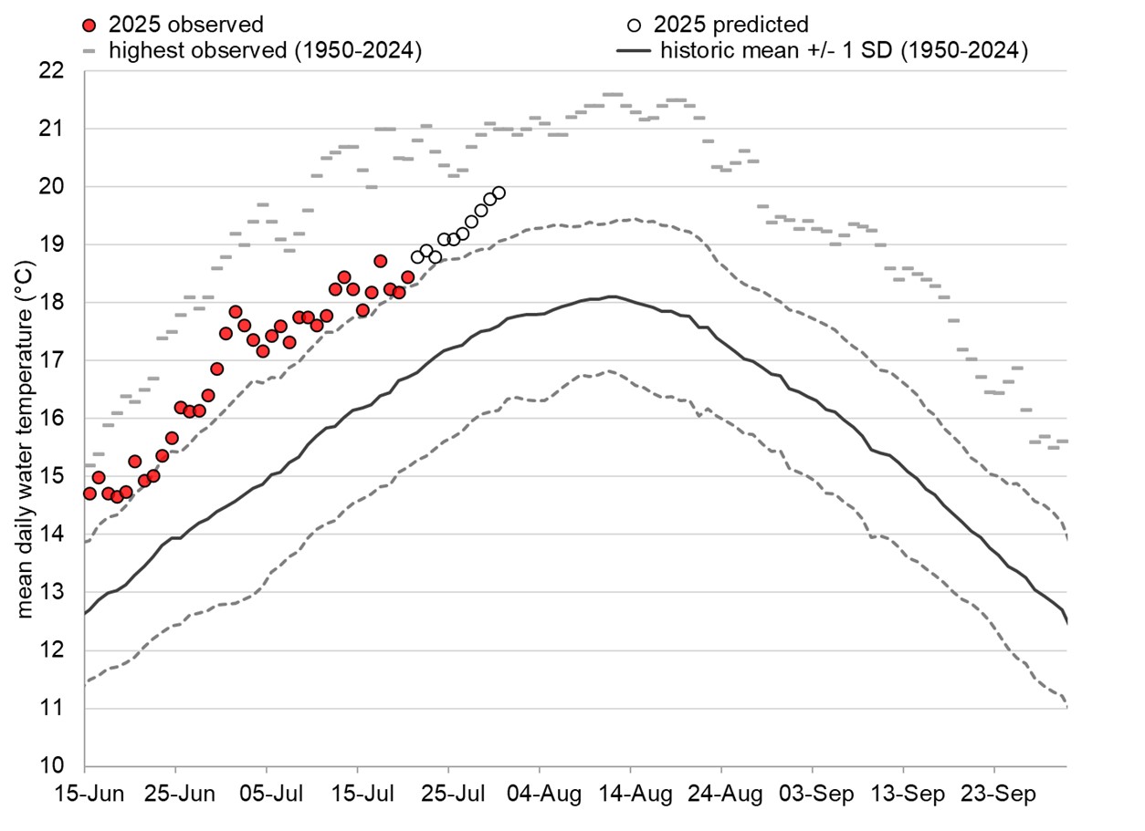 Graph: Fraser River water temperatures at Qualark
