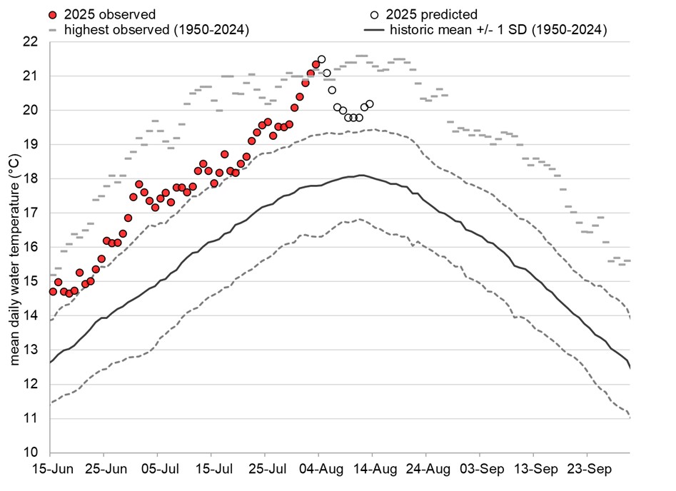 Graph: Fraser River water temperatures at Qualark