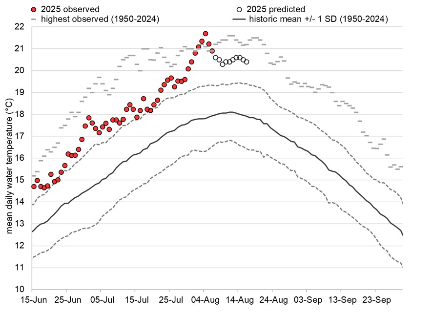 Graph: Fraser River water temperatures at Qualark