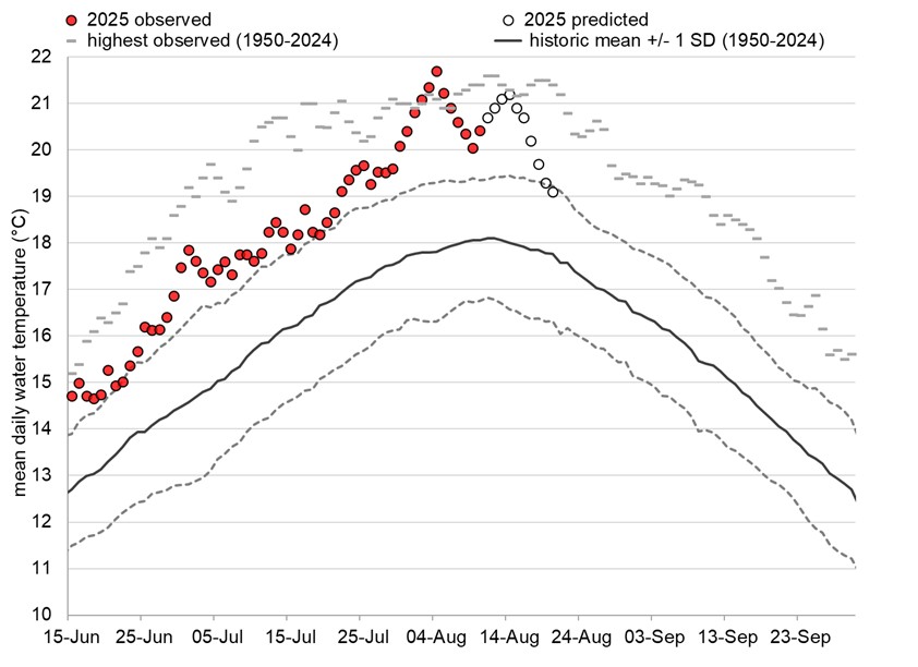 Graph: Fraser River water temperatures at Qualark