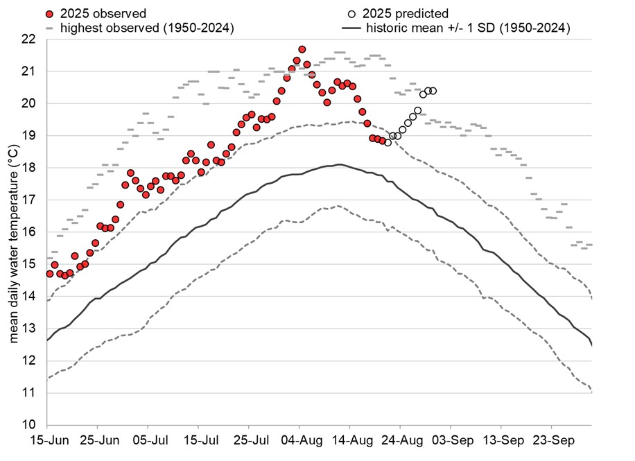 Graph: Fraser River water temperatures at Qualark
