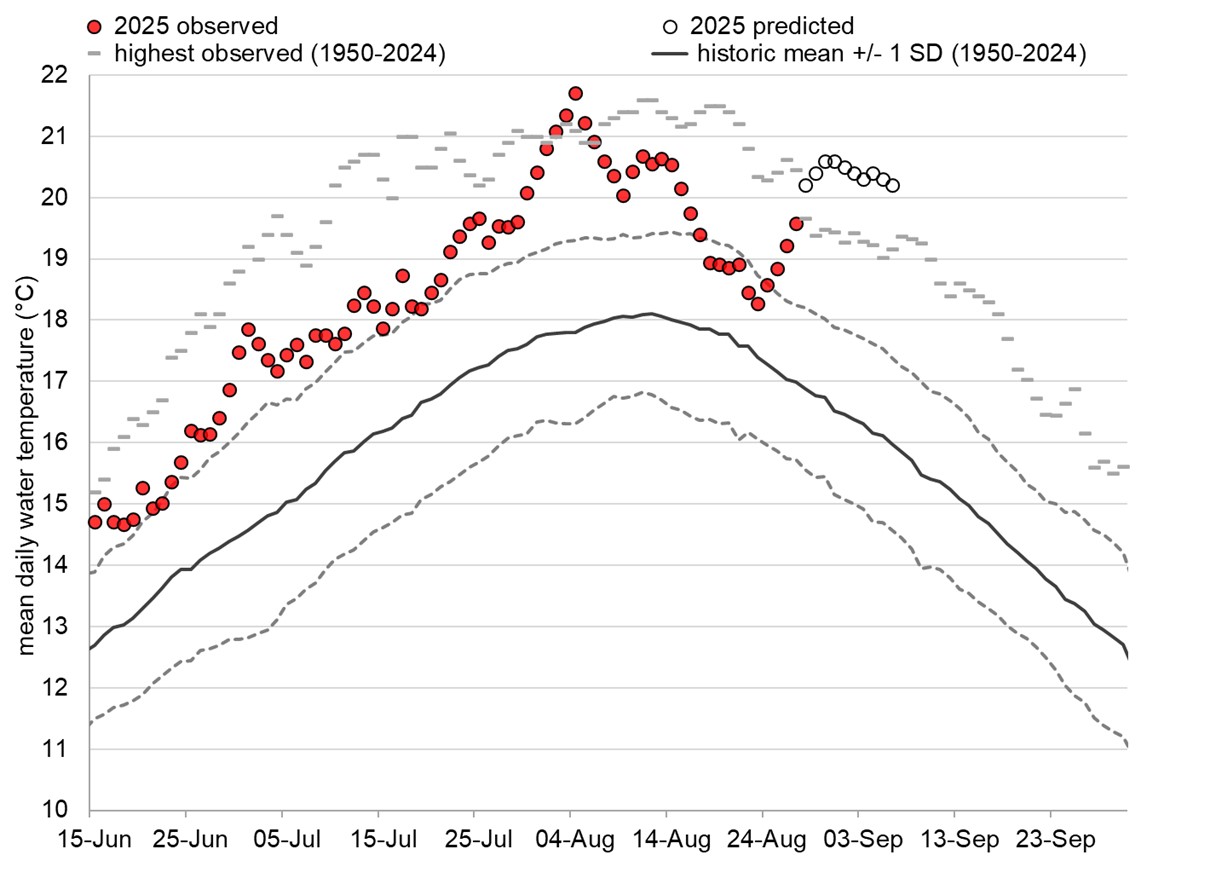 Graph: Fraser River water temperatures at Qualark
