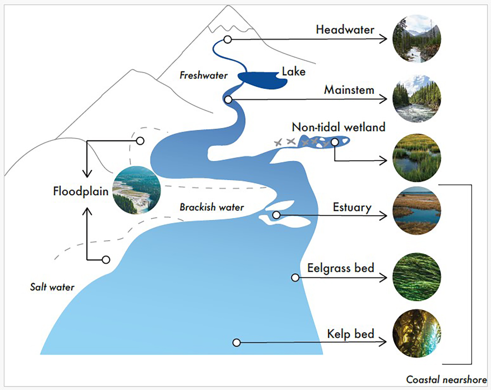 diagram showing key habitat types and watershed features found in the Pacific region
