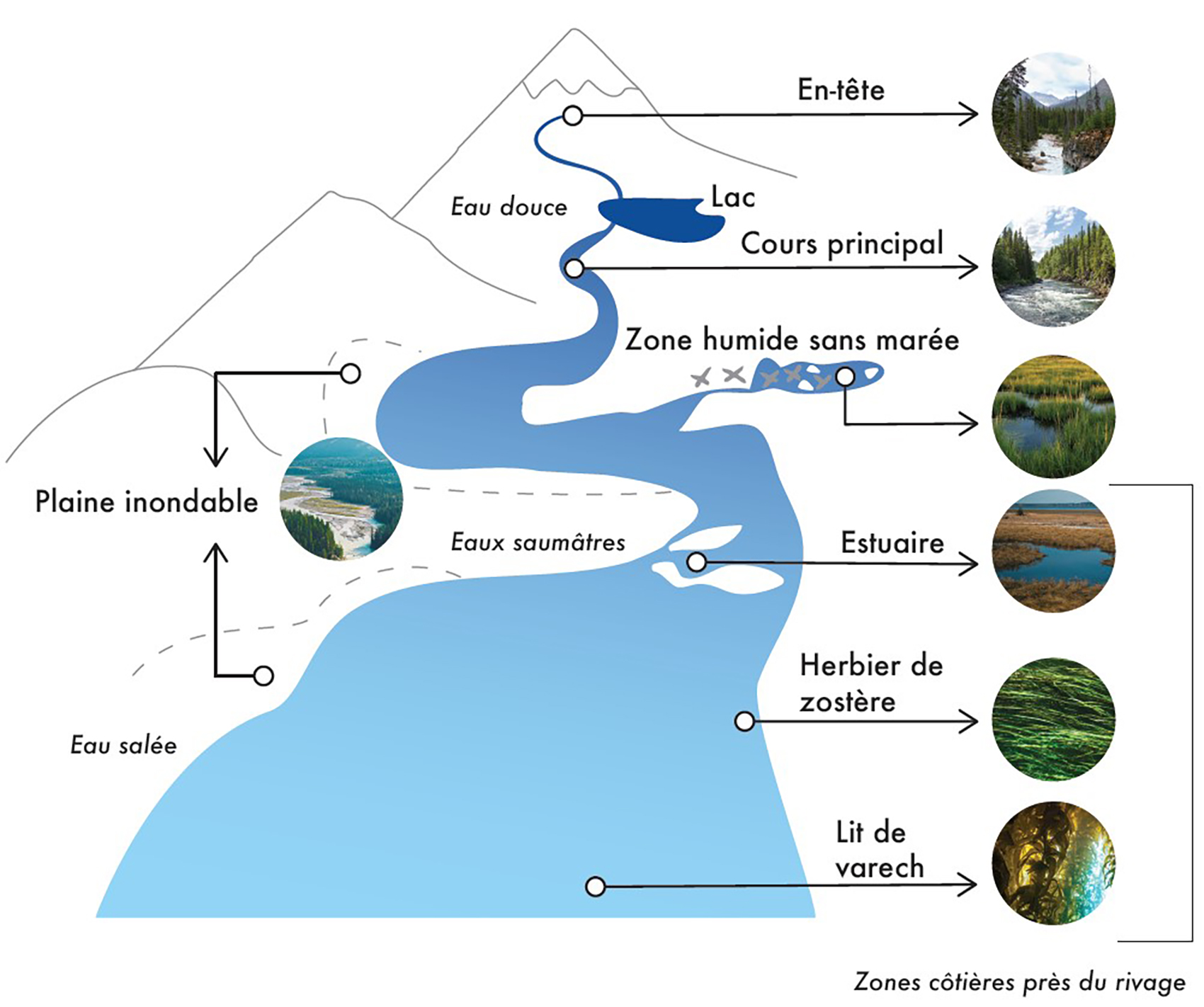 diagram showing key habitat types and watershed features found in the Pacific region