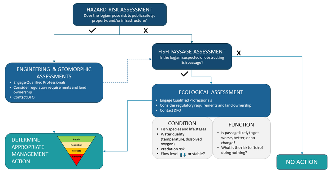A diagram shows the procedure for a typical logjam hazard risk assessment.