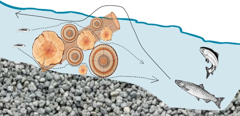 Figure 6. Schéma illustrant les options potentielles de passage pour les saumons juvéniles et adultes à travers un embâcle entravant un chenal.