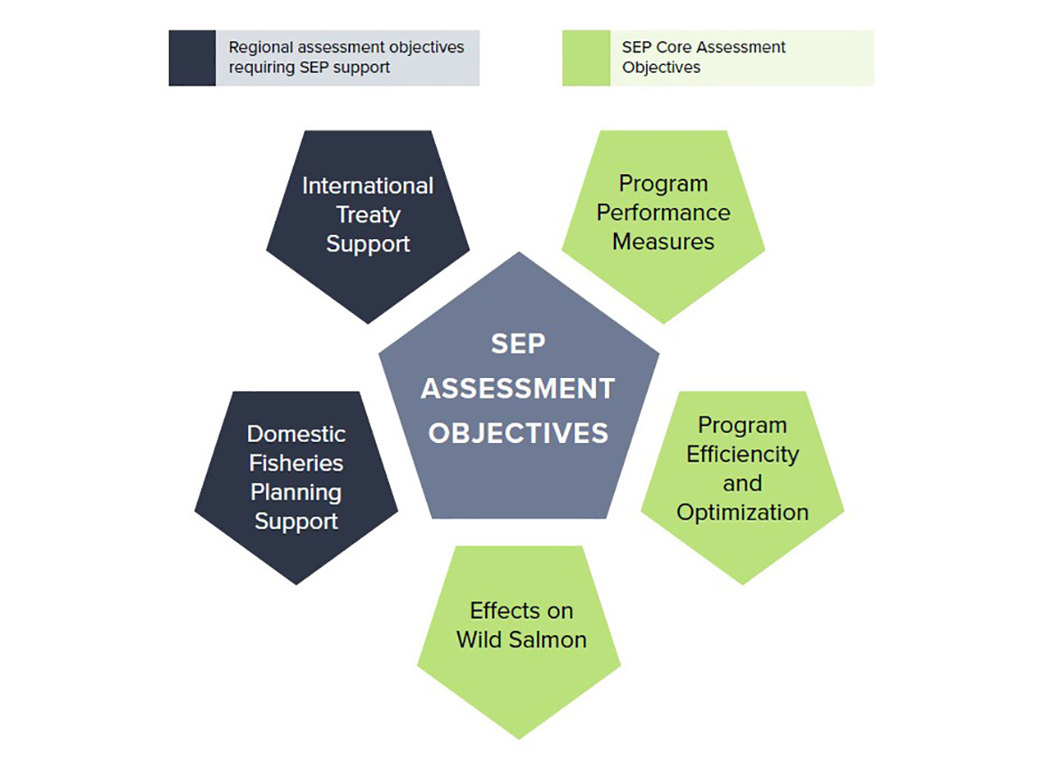 Figure: SEP assessment objectives
