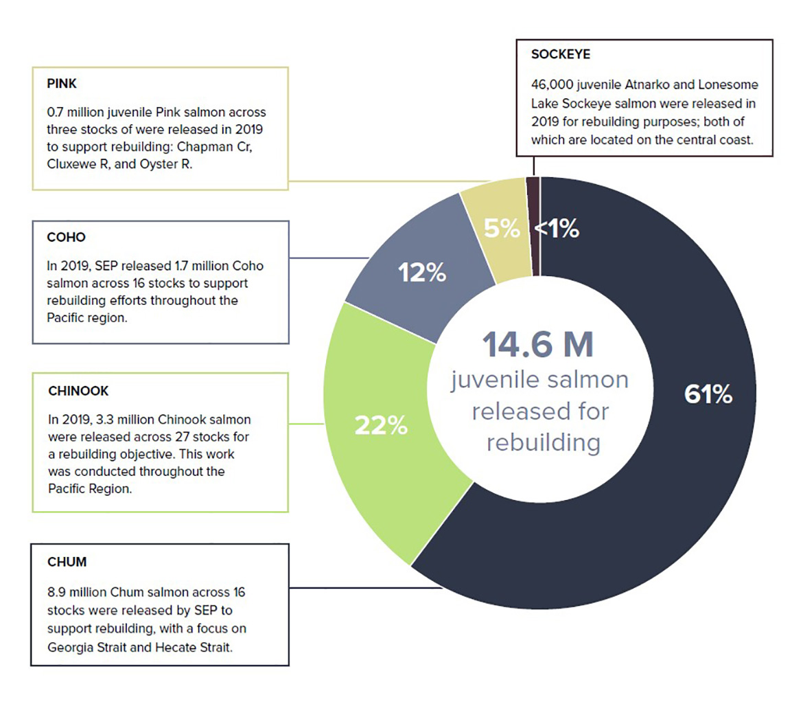 Figure: 14.6 M juvenile salmon released for rebuilding
