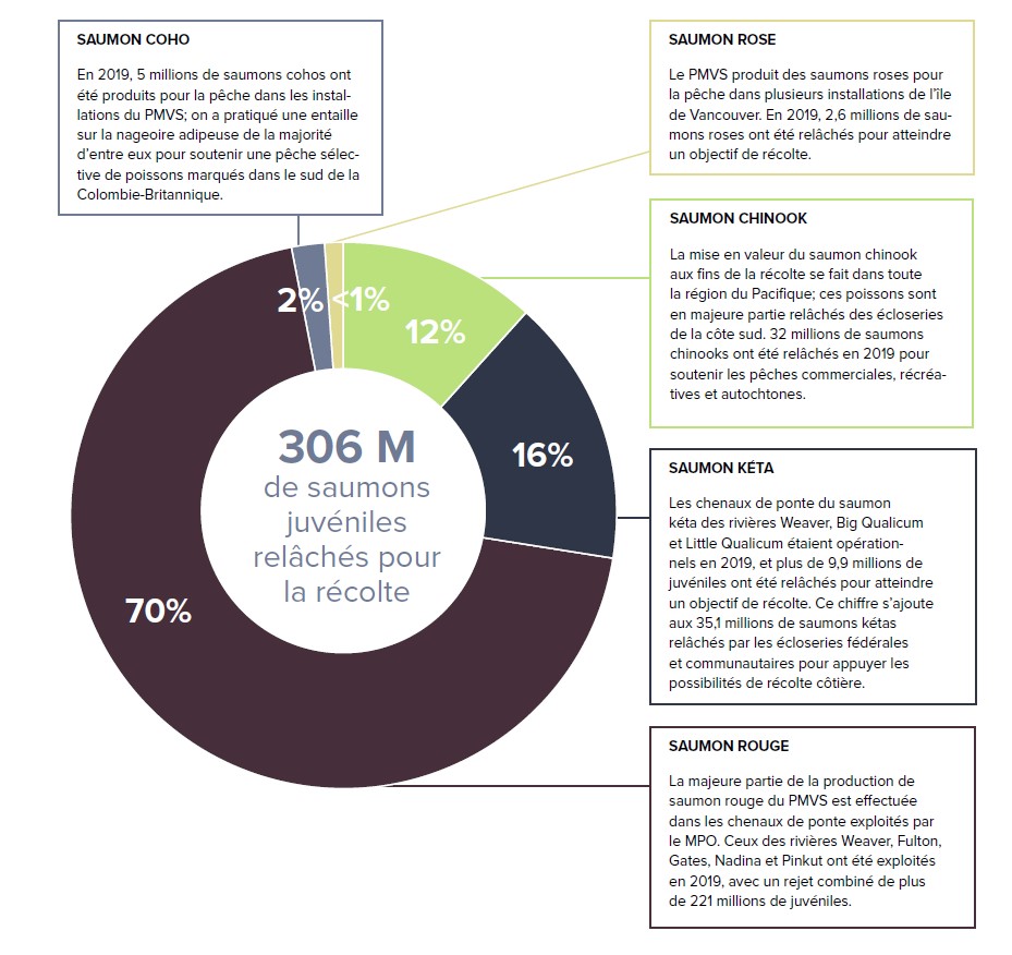 Figure : Nombre total de saumons juvéniles relâchés des écloseries communautaires et fédérales et des chenaux de ponte en 2019 pour appuyer un objectif de récolte.