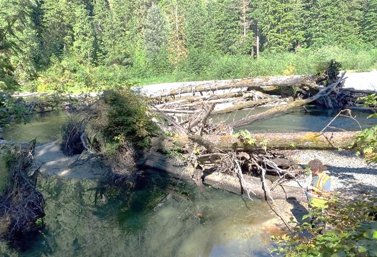 Photo : Un embâcle couvrant tout le canal dans la rivière Indian, en Colombie-Britannique.